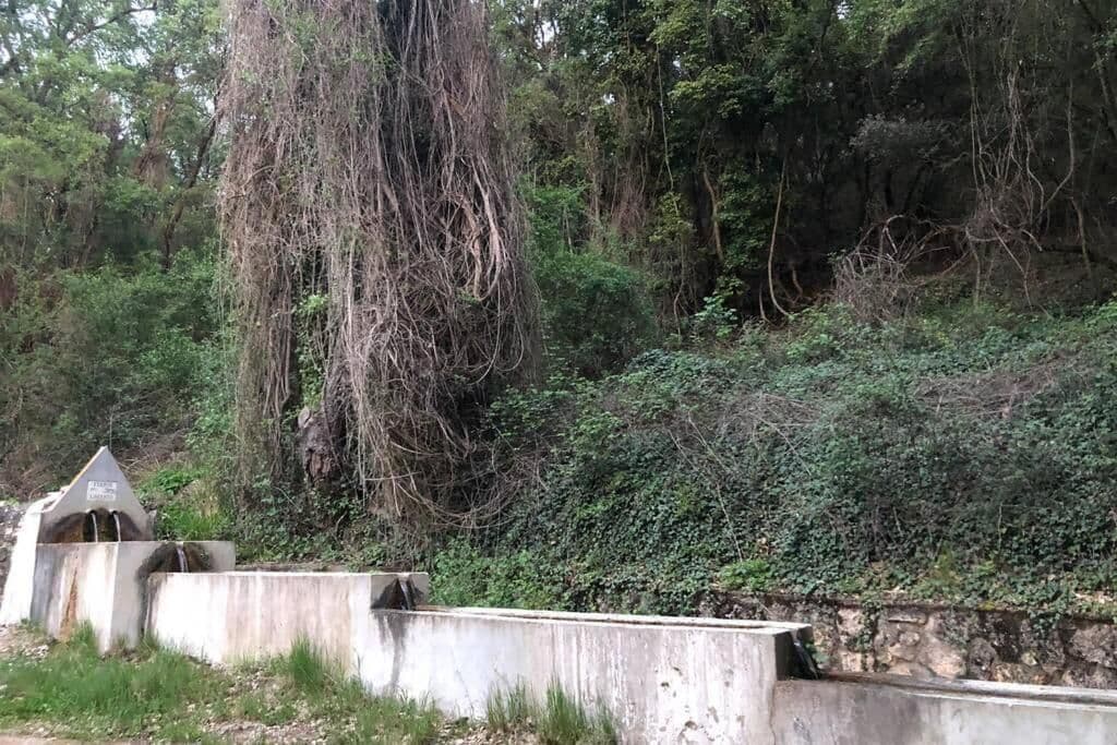 Antigua fuente y lavadero de Irueste, en La Alcarria (Guadalajara)